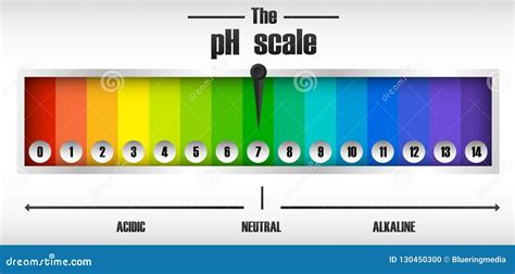 El Diagrama De La Escala Del PH Ilustración del Vector Ilustración de