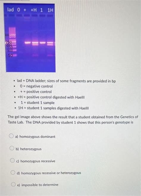 Solved - lad = DNA ladder; sizes of some fragments are | Chegg.com