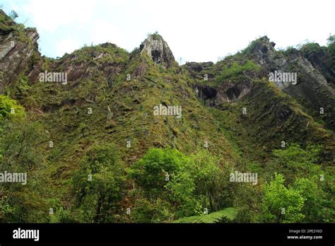 El Cirio Iconic And Sacred Site Otomi Tepehua Of Tenango De Doria