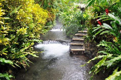 Tabacon Hot Springs Admission with Dinner - TGW Travel Group