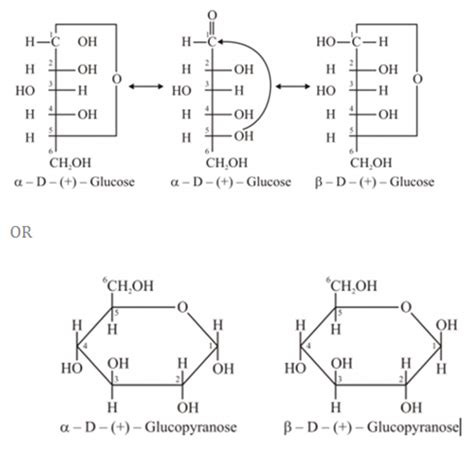 Alpha And Beta Glucose Ring Structure