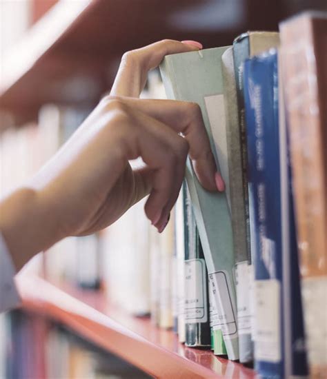 Archivi I Progetti Delle Classi Istituto Comprensivo Statale PORTO ROMANO