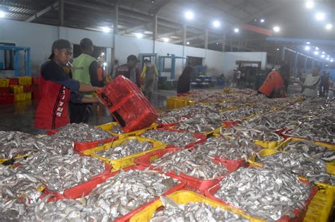 Catatan Akhir Tahun Mengukur Kesiapan Kebijakan Penangkapan Ikan Terukur