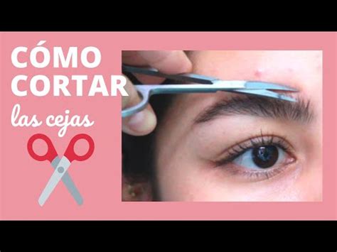 Domina el arte de cómo cortar los pelos de las cejas la guía