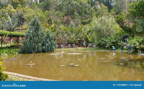 Fish pond fountain stock image. Image of statue, aquascape - 170788801