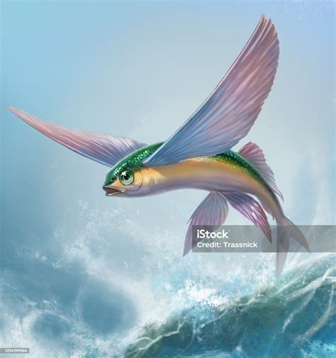 Flying Fish Yellow Green Jumping And Flying Stock Illustration - Download Image Now - Animal ...