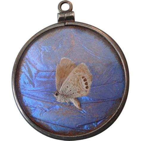 Victorian Genuine Butterfly Wing Double Sided Pendant Sterling Frame