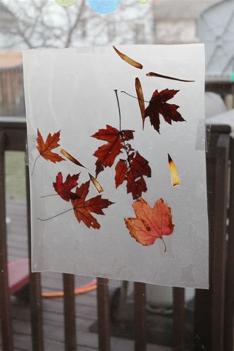 Outdoor Art: Autumn Leaf Collage