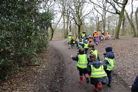 Nursery And Reception Explore In The Woods Norfolk House School London