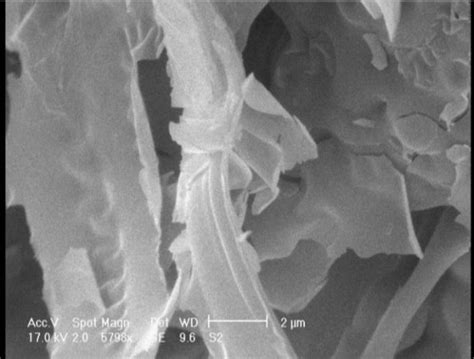 Sem Image Of α Alumina Nanoparticles Download Scientific Diagram