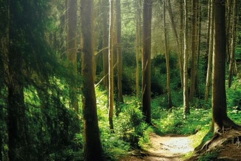 Les L Ments Indispensables D Un Panneau P Dagogique Sur La Nature