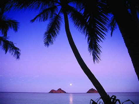 Spiaggia Delle Hawaii Isole Mokulua Lanikai Beach Sfondo Hd Pxfuel