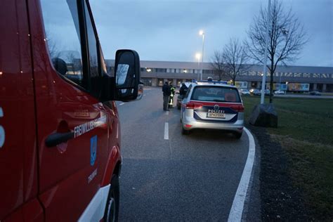 Wildunfall Auf Der L156 Freiwillige Feuerwehr Trumau