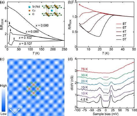 Characterizations Of Snco Epitaxial Films A Temperature Dependence