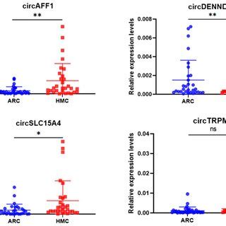 CircAFF1 Increased TPM1 Expression By Sponging MiR 760 A The Upper