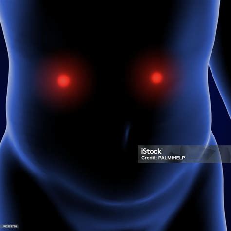 illustration  human body stomach pain stock photo  image