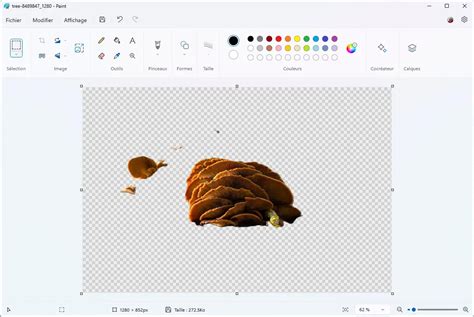 Nouveau Paint comment supprimer larrière plan dune image Le
