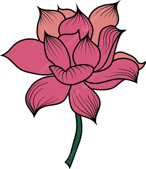 Lotus Rosado Png Hoja De Loto Loto Rosado Png Y Vector Para Descargar Gratis Pngtree