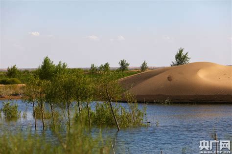 Water Diversion Project Turns Desert Into Oasis People S Daily Online