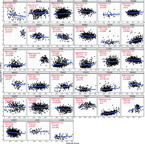 Spearman S Correlation Analysis Showing The Association Between Shcbp1 Download Scientific