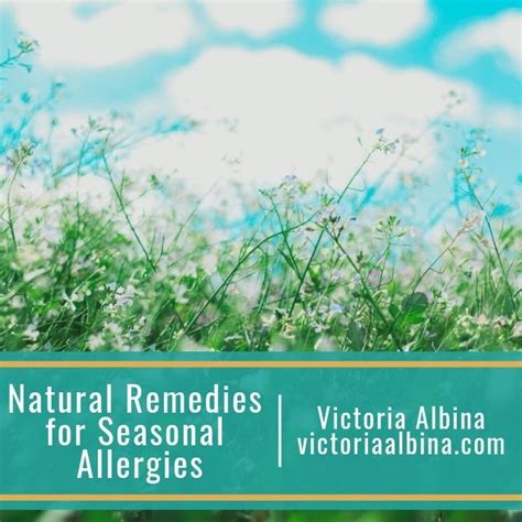 Natural Remedies For Seasonal Allergies 10 Tips To Make The Season Easier Victoria Albina