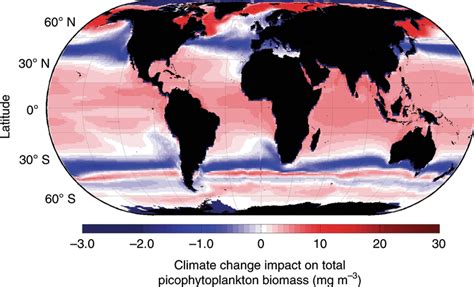 Projected Impact Of Climate Change On Total Picophytoplankton Carbon