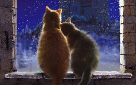 Cat Couple Wallpapers - Wallpaper Cave