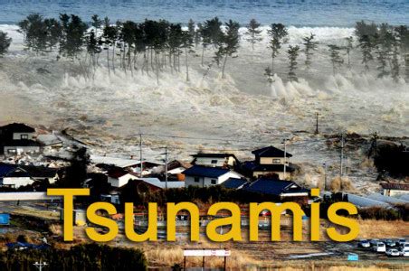 Tsunamis | Information about Tsunamis - Stay in Business