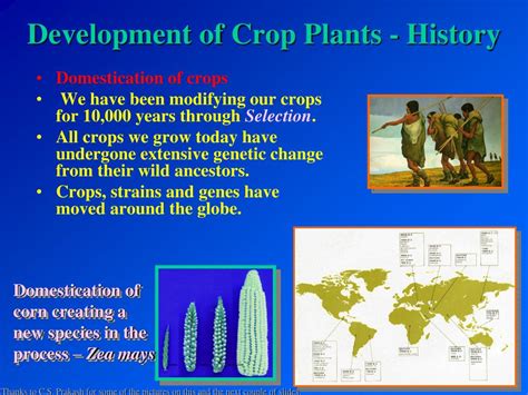 PPT - Development of Crop Plants - History PowerPoint Presentation ...