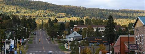 Urban Forestry | Natural Resource Ecology and Management