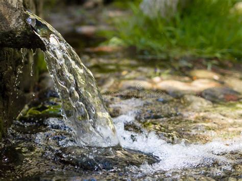 Natural Spring Water & A Balanced Lifestyle - Spring Water Supreme