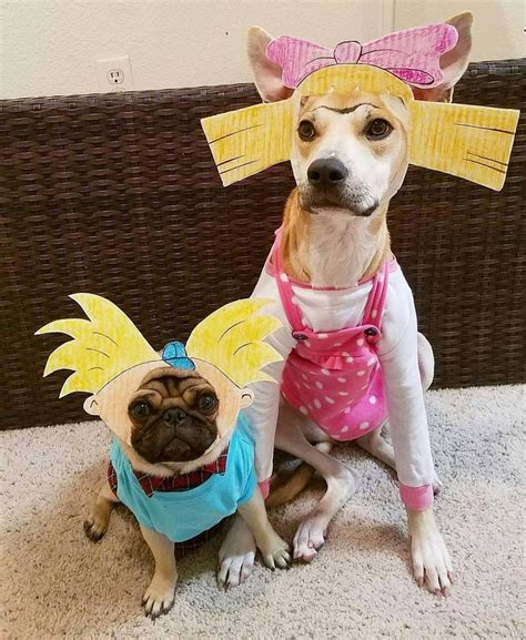 Divertidos Disfraces Para Pedir Dulces Junto A Tu Perro En Halloween