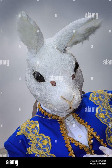 A Cosplayer As The White Rabbit From Alice In Wonderland Character