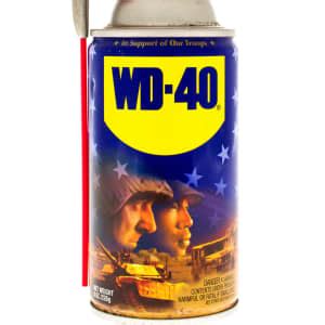 The Right Way To Use WD 40 Silicone Spray To Fix Squeaky Door Hinges