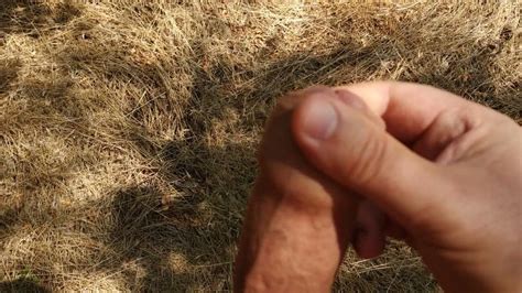 Summer Gay Porn XHamster