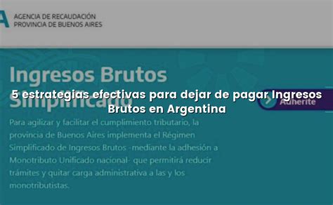 5 Estrategias Efectivas Para Dejar De Pagar Ingresos Brutos En