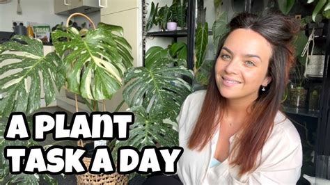 A Week Of Plant Tasks Getting Plant Chores Done A Week Of Plant To