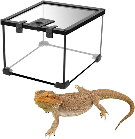 Reptile Tank Glass Terrarium Kit Glass Reptile Terrarium Vivarium