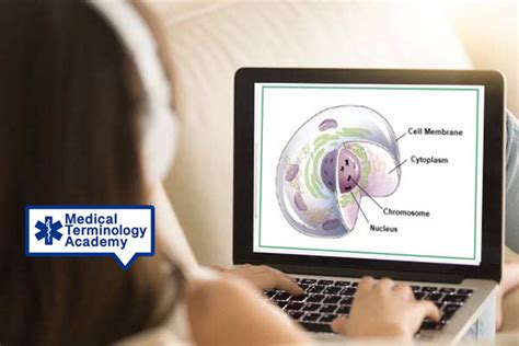 Medical Terminology Online | Learning Medical Terminology Online