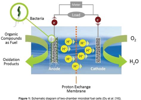 Schematic Of A Microbial Fuel Cell A Microbial Electrolysis Cell Cc