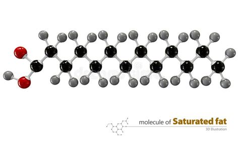 Saturated Fat Structure