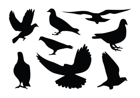 Pigeon Silhouette Vectors Vector Art At Vecteezy