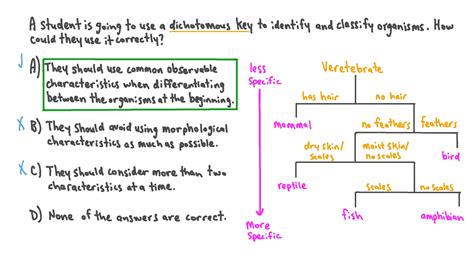 Question Video Understanding How To Use A Dichotomous Key Correctly Nagwa