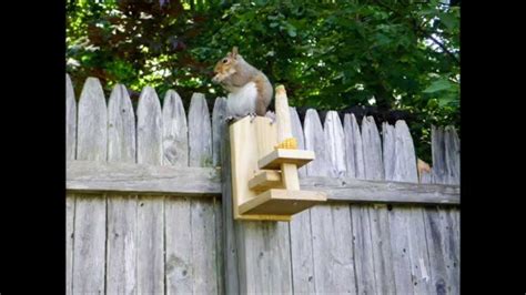 Squirrel Feeder Diy Plans - Diy Projects