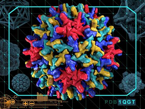 Human Hepatitis B Virus Capsid Photograph by Laguna Design/science ...