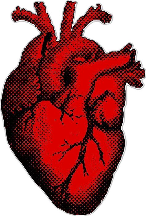 Download Free Png Of Human Heart Png Sticker Realistic Illustration On