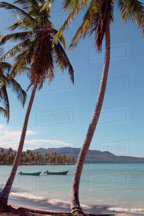 Casa Marina Bay Beach Las Galleras Samana Dominican Republic