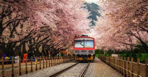 Ultimate Guide to Korail Pass: Price, Benefits, & Reservation