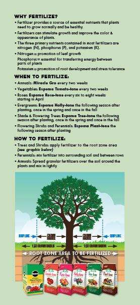 Guide To Fertilizing The Farm At Green Village