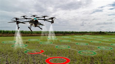 Brasil Ganha Quase Uma Agtech Por Dia Desde O In Cio Da Pandemia